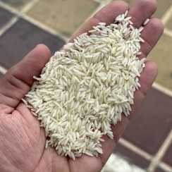 تصویر برنج هاشمی فریدونکنار - 5 کیلوگرم 