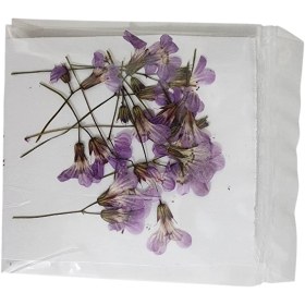 تصویر گل خشک انگوری 10 عددی 