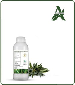 تصویر طعم دهنده برگ بو خوراکی 