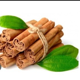 تصویر چوب دارچین 