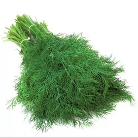 تصویر بذر شوید ایرانی 20 گرمی 