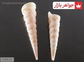 تصویر نگین صدف زیبا کد 139912 