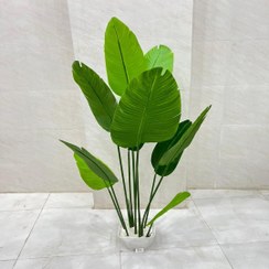 تصویر درختچه مصنوعی هاوایی 