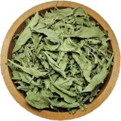 تصویر برگ استویا 