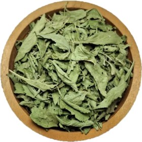 تصویر برگ استویا 