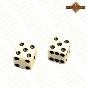 تصویر تاس صدفی 