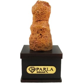 تصویر سنگ راف مدل فسیلی پارلا گوهر کد 5815 