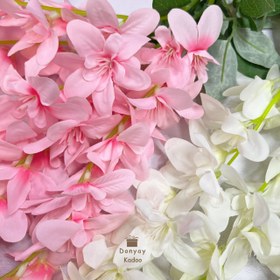 تصویر گل ارکیده 