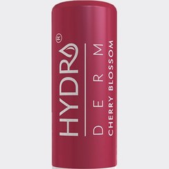 تصویر بالم لب رنگی گیلاس هیدرودرم Hydroderm Cherry Blossom Lip Balm 4.5g 