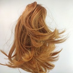 تصویر دم اسبی کلیپسی 