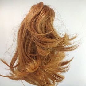 تصویر دم اسبی کلیپسی 