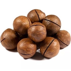 تصویر ماکادمیا 