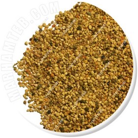 تصویر گرده گل 