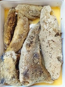 تصویر عسل وحشی اصل 