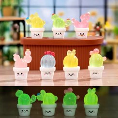 تصویر گلدان های کاکتوس 