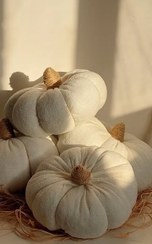 تصویر کدو دکوری کنار سالنی سفید رنگ قطر ۳۵ سانت 