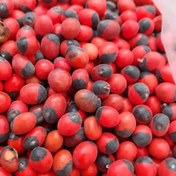 تصویر بذر بذر گیاه چشم خروس 