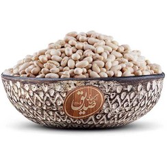 تصویر سویا بوداده (سویا آجیلی) 