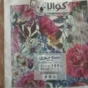 تصویر نایلون دسته موزی کوالا ۱۰۰ عددی سایز 25×35 Koala