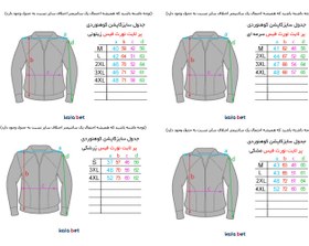 تصویر کاپشن کوهنوردی پر لایت نورث فیس The North face featherslight jacket