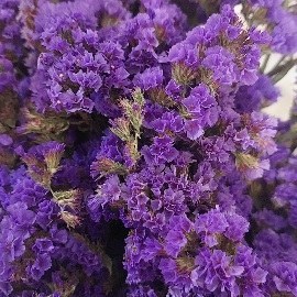 تصویر گل خشک شمع سازی 