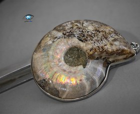 تصویر فسیل آمونیت 33 گرم 