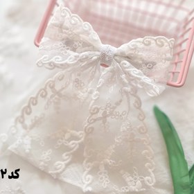 تصویر گیره پاپیون گیپور 