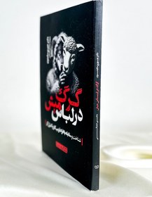 تصویر گرگ در لباس میش 