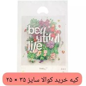 تصویر کیسه خرید کوالا 35 در 25 کیسه فروشگاهی بسته 100 عددی کیسه خرید دسته موزی نایلونی کوالا پلاستیکی عمده فروشی 