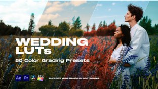 تصویر پریست رنگ پریمیر برای فیلم عروسی Colorify Wedding LUTs 