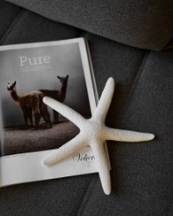 تصویر بیبی ستاره 