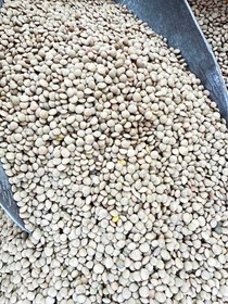 تصویر عدس آشی کانادایی Lentil soup