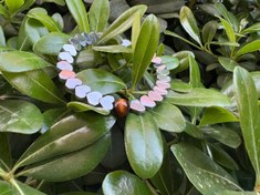 تصویر دستبند حدید و چشم ببر 