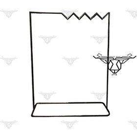 تصویر رگال سیمپلDR-R54 