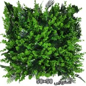 تصویر گرین وال استوایی دیوار سبز 