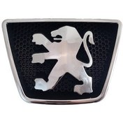 تصویر آرم جلو پنجره پژو پارس 