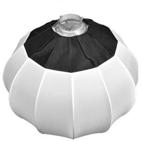 تصویر سافت بال Light Balloons 30cm For Mini Light Three prong 