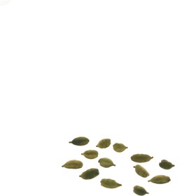 تصویر هل سه مثقالی روشندل Cardamom,three shekels, roshandel