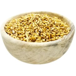 تصویر گندم با پوست مرغی 