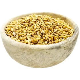 تصویر گندم با پوست مرغی 