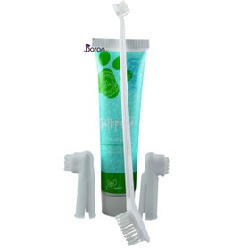 تصویر ست مسواک و خمیر دندان با طعم نعناع USPET Dental Set with Mint