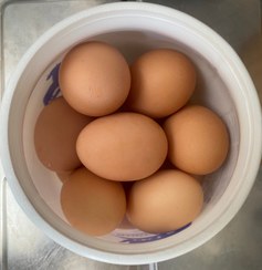 تصویر تخم مرغ رسمی+ ارسال رایگان 
