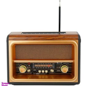 تصویر رادیو گولون مدل RX-BT89SQ 