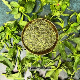 تصویر نعناع خشک ۱۰۰ گرم 