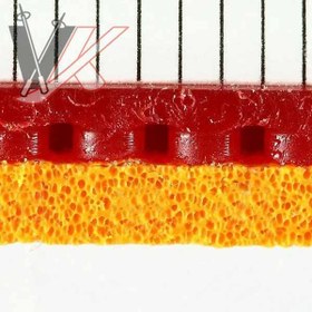 تصویر ونتوس اسپید TSP 