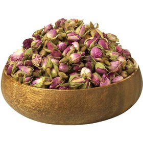 تصویر غنچه گل محمدی 