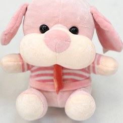 تصویر پولیشی سگ کراواتی 