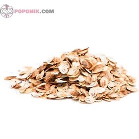 تصویر گلپر نسابیده 