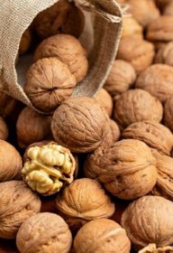 تصویر گردو با پوست Nuts