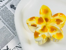 تصویر کلیپس پلومریامدل خال خالی 